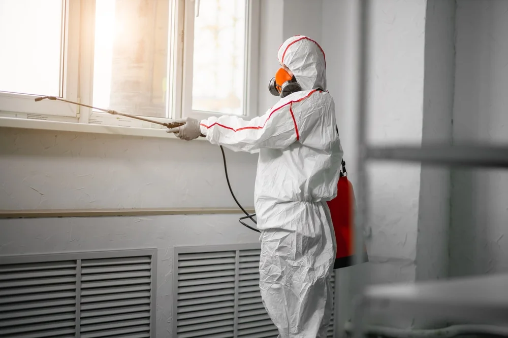 Professional mold remediation services in Mineral Springs, NC